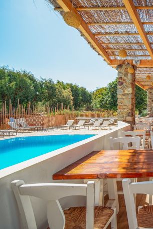 Amazing Holiday  in Serifos on Livadakia Βeach, in the Cyclades